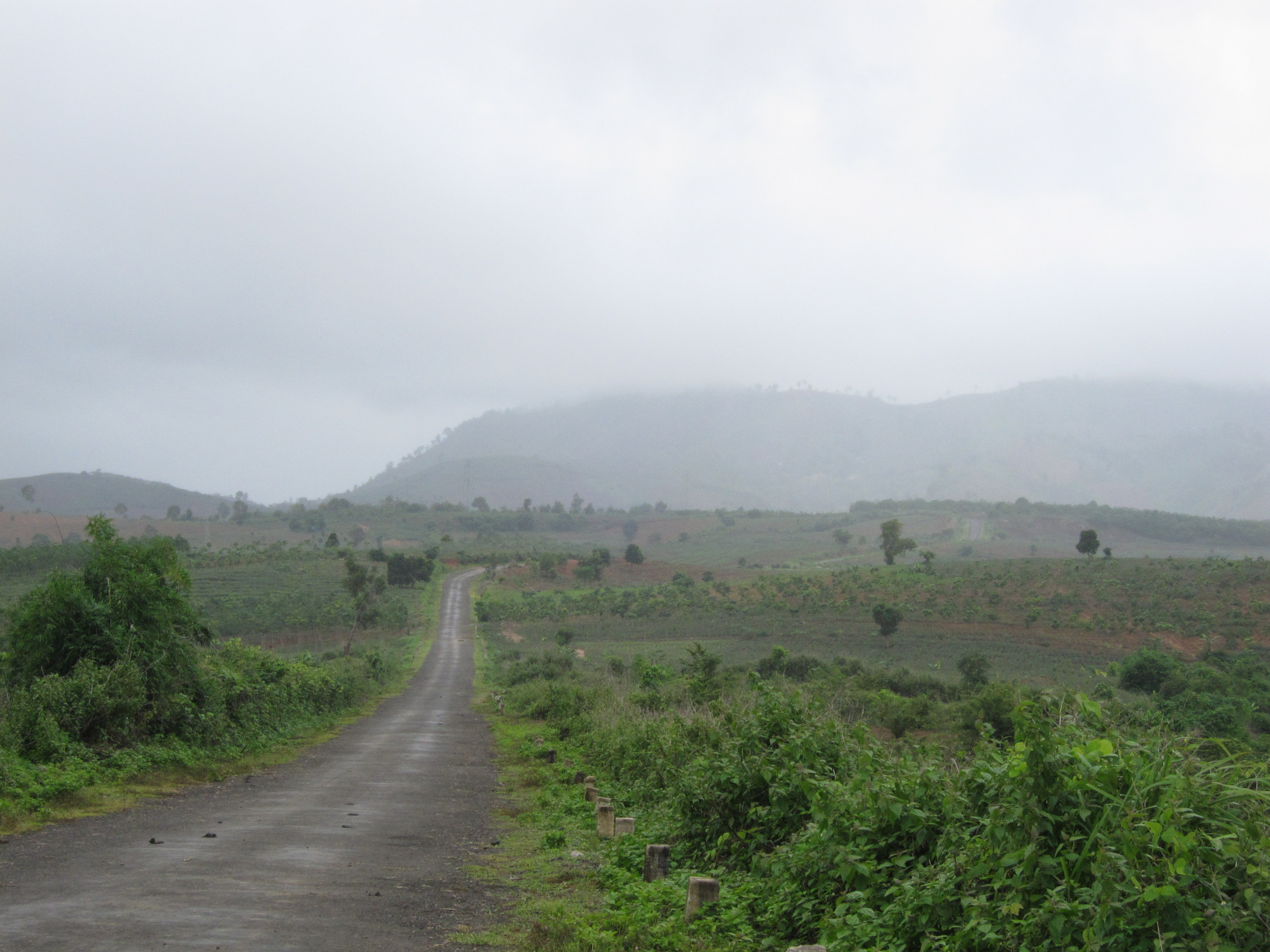 Kon Tum – dã quỳ nho nhỏ