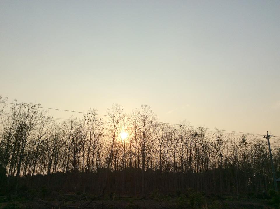 Ảo mộng bị cắt ngang
